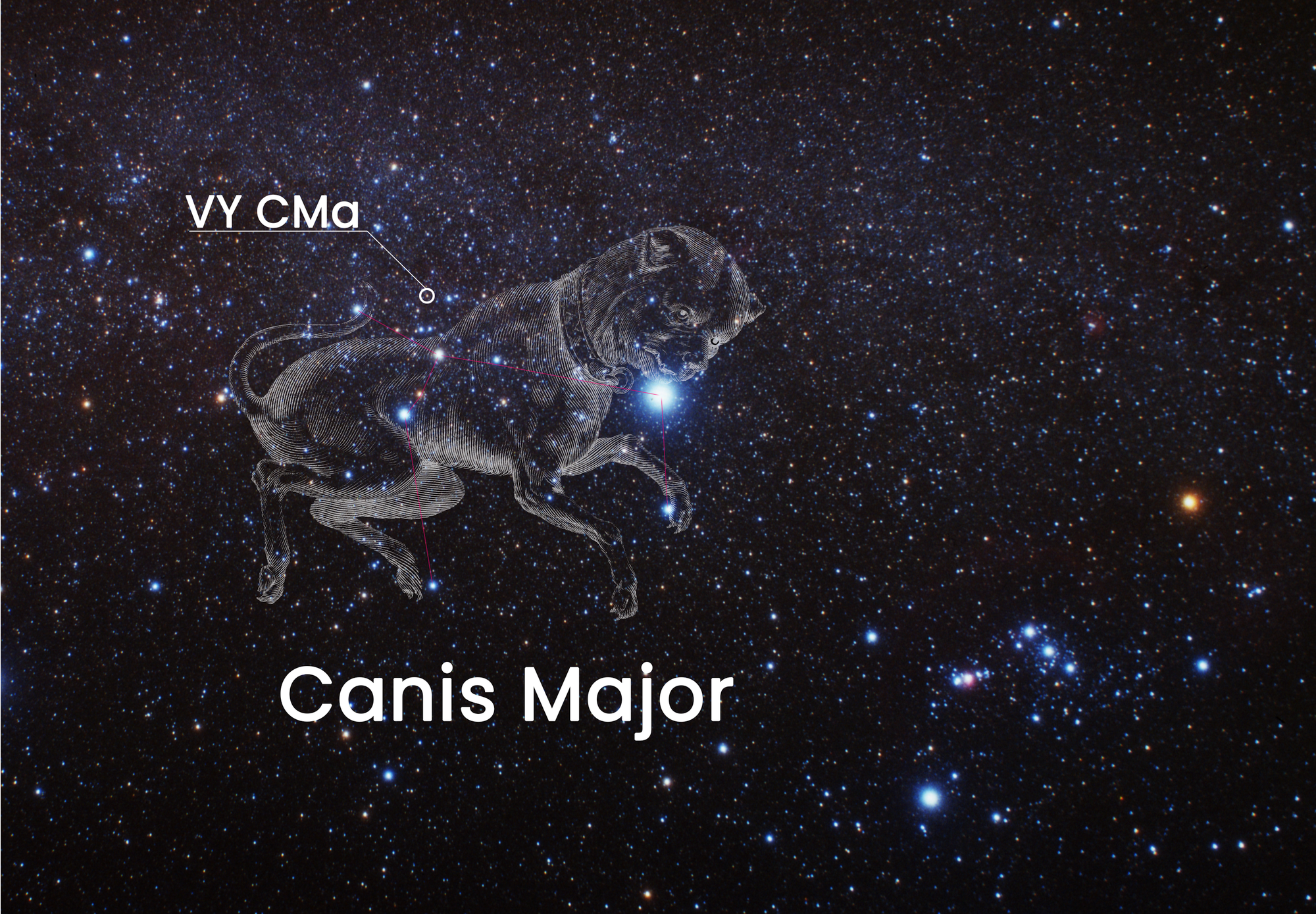 Położenie czerwonego hiperolbrzyma VY Canis Majoris na  niebie. Najlepiej widać go zimą nisko nad południowym horyzontem w gwiazdozbiorze Wielkiego Psa (łac. Canis Major) - powyżej grzbietu. Źródło: NASA, ESA, and J. DePasquale (STScI) Acknowledgment: A. Fujii
