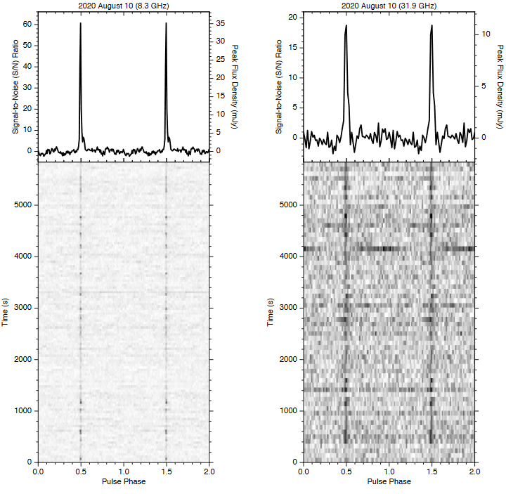 Złożone profile impulsów emisji radiowej obiektu Swift J1818.0-1607