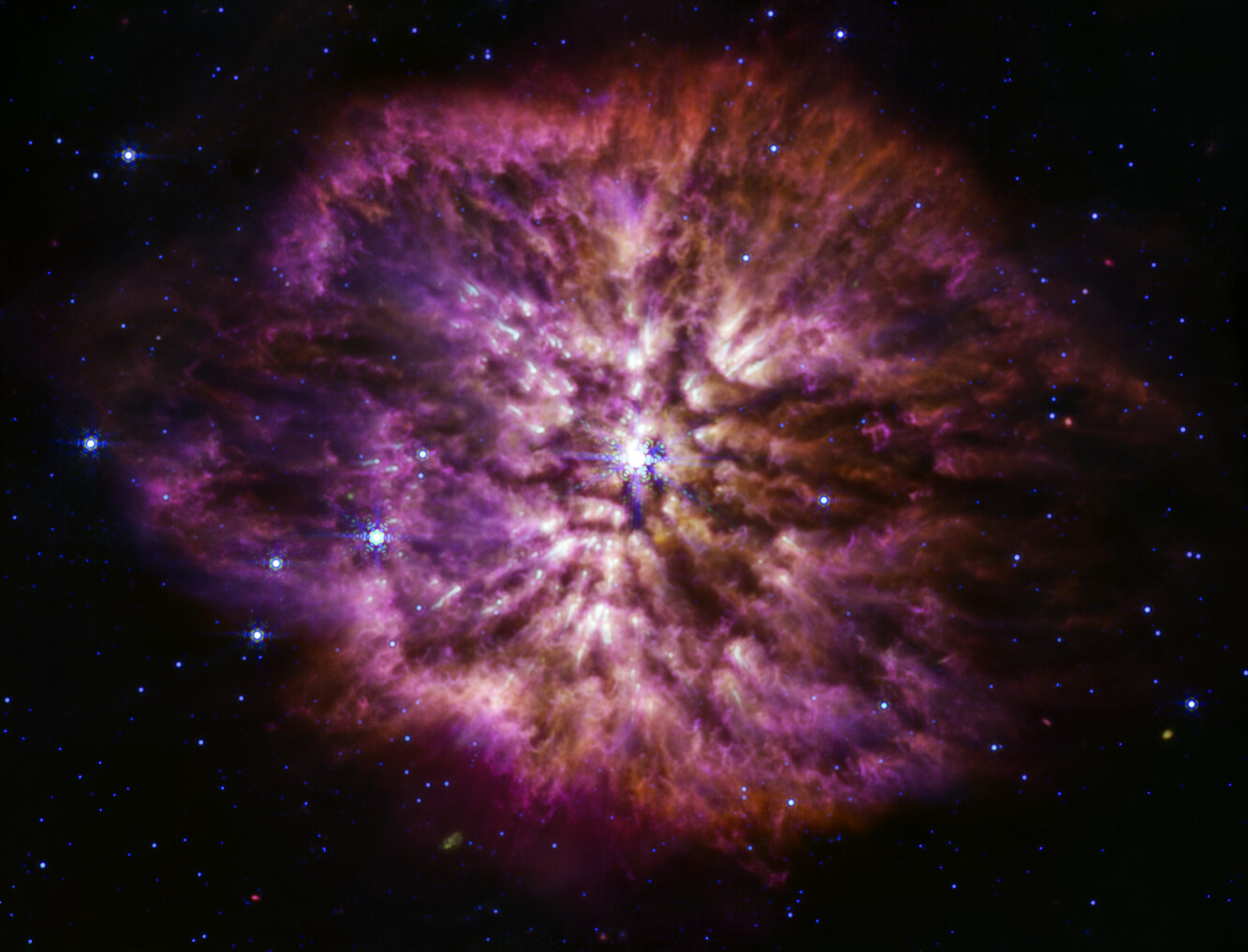 Na ilustracji: Gwiazda Wolf Rayet 124 (WR 124) jest widoczna w środku zdjęcia w średniej podczerwieni zrobionego instrumentem MIRI w Teleskopie Webba.  Wiemy, że wokół gwiazd Wolfa-Rayeta jest intensywnie wytwarzany pył i szczególnie dobrze widać to na zdjęciach w średniej podczerwieni zrobionych instrumentem MIRI w Teleskopie Webba. Chłodniejszy pył kosmiczny świeci w większych długościach fali (średnia podczerwień), prezentując strukturę mgławicy WR 124, którą oznaczono M1-67. Ta mgławica jest zbudowana z materii utraconej przez starzejącą się gwiazdę WR 124 wyniku przypadkowych wyrzutów materii oraz pyłu wytworzonego w tym turbulentnym środowisku. Ten widowiskowy okres utraty masy poprzedza ostateczny jej wybuch jako supernowej, gdy w jądrze gwiazdy zatrzymują się reakcje termojądrowe i siły grawitacji powodują w ułamku sekundy kolaps jądra gwiazdy, po którym następuje odbicie się fali uderzeniowej i często wybuch supernowej. Dzięki tak szczegółowym zdjęciom jak zdjęcie WR 124 z MIRI, astronomowie będą mogli uzyskiwać odpowiedzi na pytania, które wcześniej mogły być analizowane tylko teoretycznie:     • Ile pyłu może wytworzyć gwiazda taka, jak WR 124 przed wybuchem supernowej?     • Jak wiele pyłu potrzeba, aby przetrwał wybuch supernowej i służył dalej jako materiał budulcowy do budowy gwiazd i planet? Na zdjęciu w barwie czerwonej pokazano obserwacje dla filtrów o średnich długościach fali 12,8 / 18 μm, w barwie zielonej – 11,3 μm, w barwie niebieskiej – 7,7 μm. Źródło: NASA, ESA, CSA, STScI, Webb ERO Production Team