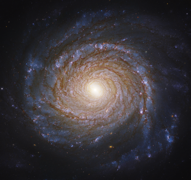 Galaktyka NGC 3147.