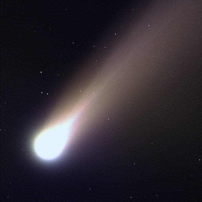neowise-comet