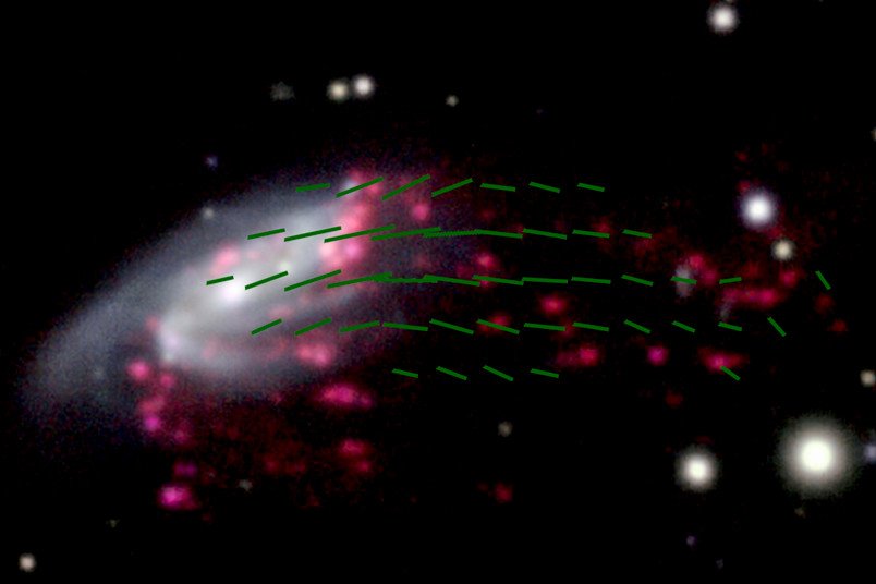 Na zdjęciu: Galaktyka JO206 i jej wyraźnie uporządkowane pole magnetyczne (zielone linie) ułożone wzdłuż ogona gazowego.