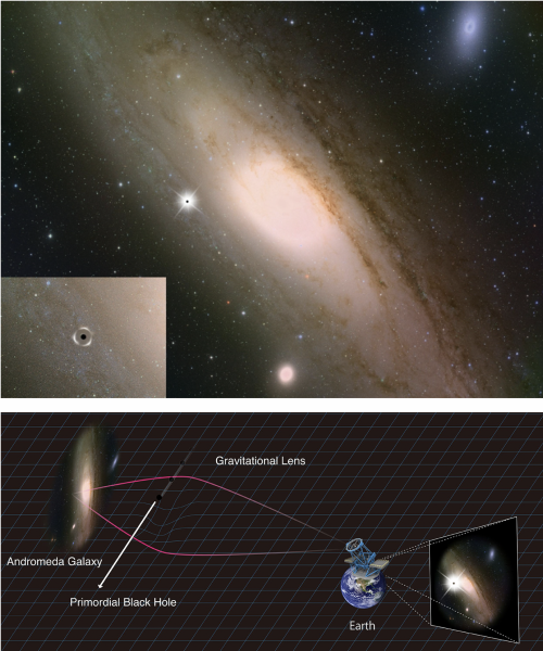 Grafika: Gwiazda w galaktyce Andromedy chwilowo staje się jaśniejsza, gdy pierwotna czarna dziura przechodzi przed gwiazdą, skupiając jej światło 