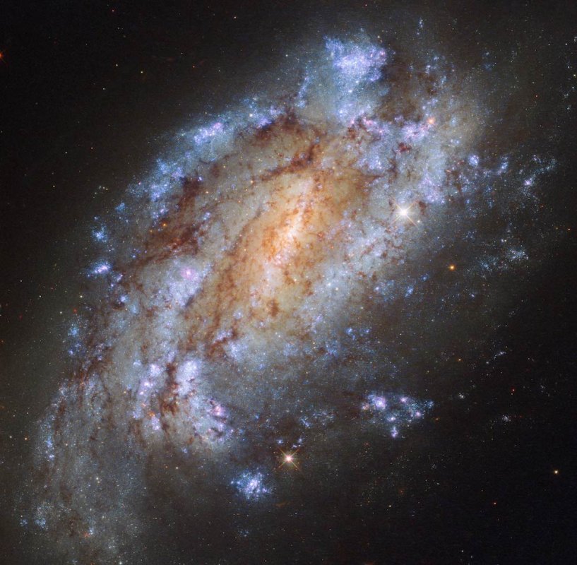 Galaktyka spiralna NGC 1559
