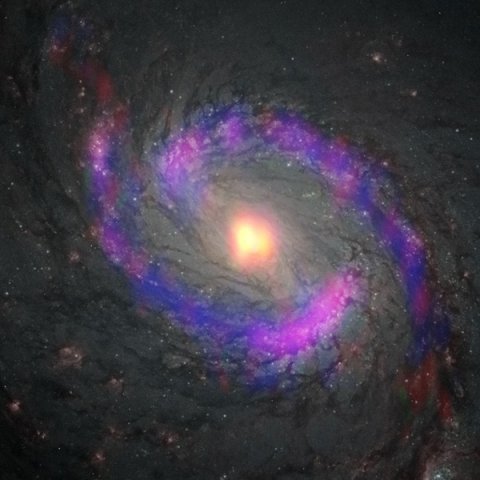 Centralne części galaktyki M77 (NGC 1068) zaobserwowane teleskopami ALMA i HST. Na zółto zaznaczono cząsteczki cyjanoacetylenu (HC3N), na czerwono: monosiarczku węgla (CS), a na błękitno - tlenku węgla (CO). 