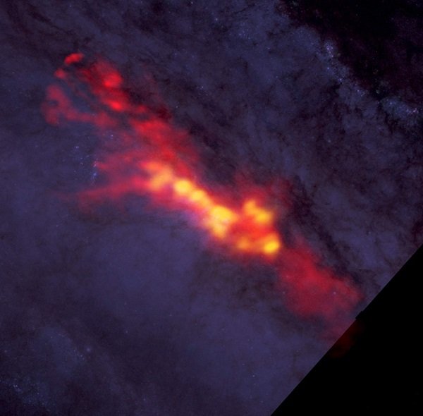 Nowe obserwacje wykonane interferometrem ALMA przedstawiają galaktykę gwiazdotwórczą NGC 253. Widoczna jest tutaj dyfuzyjna otoczona złożona z tlenku węgla (kolor czerwony,), która otacza gwiezdny żłobek (kolor żółty). 
