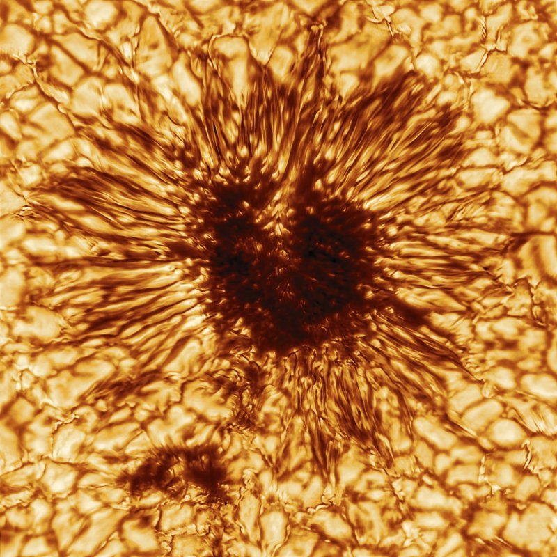 Pierwsze oficjalne zdjęcie plamy słonecznej z 28 stycznia 2020 r. wykonane największym na świecie i najnowocześniejszym teleskopem słonecznym DKIST (Daniel K. Inouye Solar Telescope) właśnie uruchamianym na Hawajach. Robi wrażenie szczegółowość plamy słonecznej na powierzchni Słońca. Plama słoneczna jest miejscem zbiegania się silnych pól magnetycznych i gorącego gazu wypływającego z jej wnętrza. Źródło: NSO/AURA/NSF
