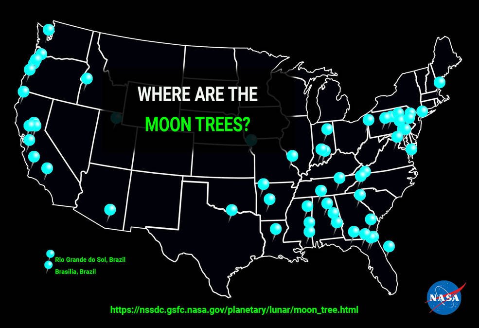 Mapa występowania Księżycowych Drzew. Źródło: NASA