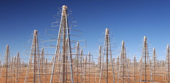 Komputerowy obraz przedstawiający sieć anten na niskie częstotliwości, które będą postawione na jednej z australijskich pustyń. Źródło: Swinburne Astronomy Productions/ICRAR/ASTRON