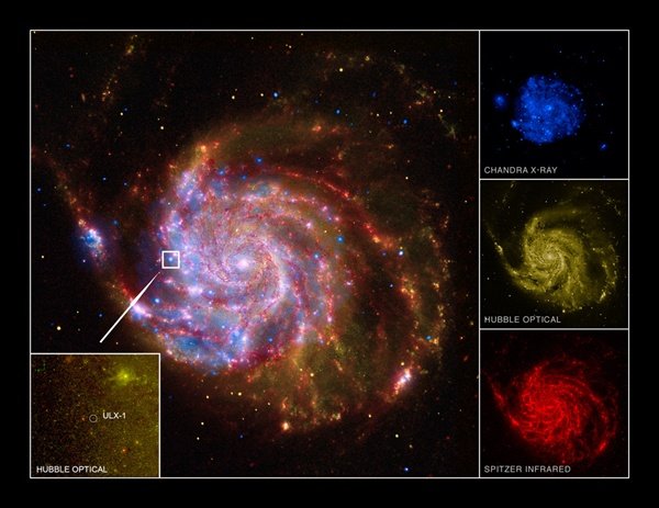 Po raz pierwszy bezpośrednio zmierzono masę tajemniczego źródła promieniowania X w galaktyce M101 – jednej z najbliższych nam galaktyk spiralnych. Okazało się, że obiekt ten jest złożony z niezwykle jasnej czarnej dziury o masie gwiazdowej i okrążającej go, zwykłej gwiazdy. Źródło: Chandra/Spitzer/Hubble/GALEX
