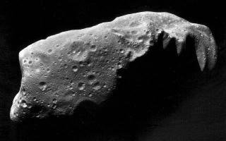 Planetoida Ida. Czy podobnie wygląda  planetoida Woszczyk? Źródło: NASA 