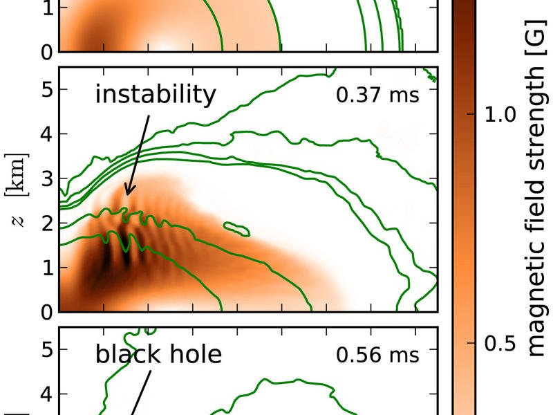 Niestabilność wywołana w super masywnej gwieździe neutronowej może prowadzić do gwałtownego wzmocnienia pola magnetycznego do gigantycznych wartości na chwilę przez zapadnięciem się w czarną dziurę. (Źródło: Max Planck Institute for Gravitational Physics/D. Siegel)