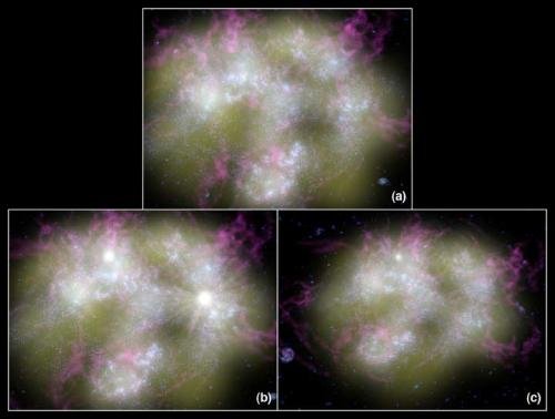 Typowa młoda galaktyka, w której aż roi się od młodych gwiazd i wybuchających supernowych. Rozbłyski białego światła to właśnie wybuchy supernowych. Fot. NASA/JPL-Caltech. Animacja (3,6 MB) pobrana ze stron http://www.galex.caltech.edu.