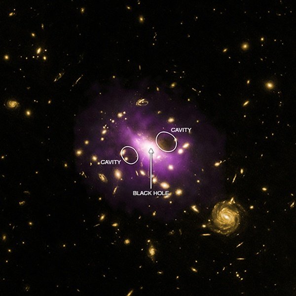 Supermasywna czarna dziura znajduje się w centrum gromady galaktyk RX J1532.9+3021. Nadźwiękowe dżety tworzone w jej pobliżu utworzyły dwie olbrzymie, ekspandujące wyrwy (dziury) w otaczającym ją, gazowym środowisku. Ich energia ekspansji powstrzymuje gorący gaz przed wychłodzeniem się i, w efekcie, uformowaniem dużych ilości nowych gwiazd. 