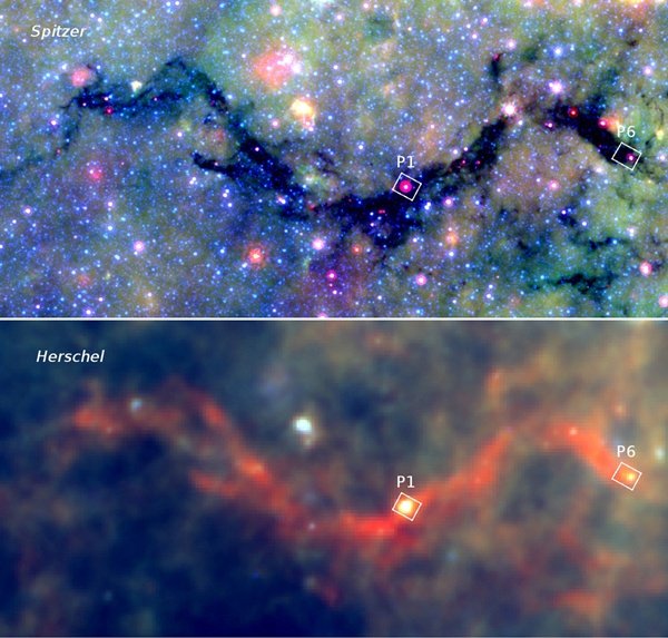 Mgławica Węża w obiektywie teleskopów Spitzera i Herschela. W paśmie średniej podczerwieni (górny panel, dane ze Spitzera) grube warstwy materii mgławicy blokują światło bardziej odległych gwiazd. Ale w dalekiej podczerwieni (dolny panel, Teleskop Herschela) mgławica świeci na skutek emisji tzw. zimnego pyłu. Dwa zaznaczone regiony, P1 i P6, zbadano bardziej szczegółowo za pomocą teleskopu SMA. Źródło: Spitzer/GLIMPSE/MIPS, Herschel/HiGal, Ke Wang (ESO)