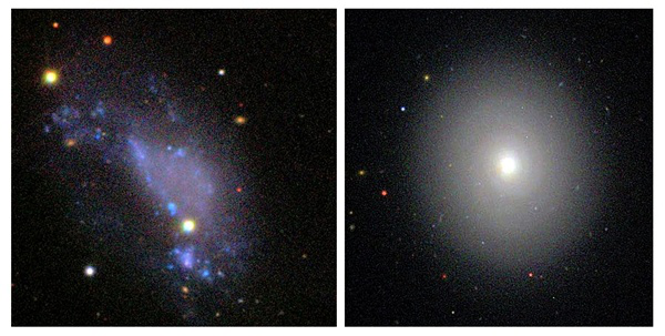 Curtis Struck z Uniwersytetu w Iowie i ekspert IBM, Bruce Elmegreen badają ewolucję galaktyk – od kłębiastego, nieregularnego przykładu (po lewej) do gładkiej struktury (po prawej). Źródło SDSS.