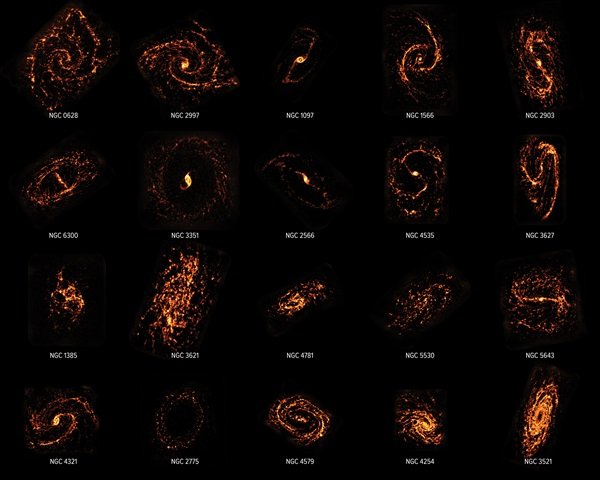 Mapy obłoków molekularnych położonych w 20 różnych galaktykach wykonane z udziałem sieci interferometrycznej ALMA. Źródło: ALMA (ESO/NAOJ/NRAO)/PHANGS, S. Dagnello (NRAO)