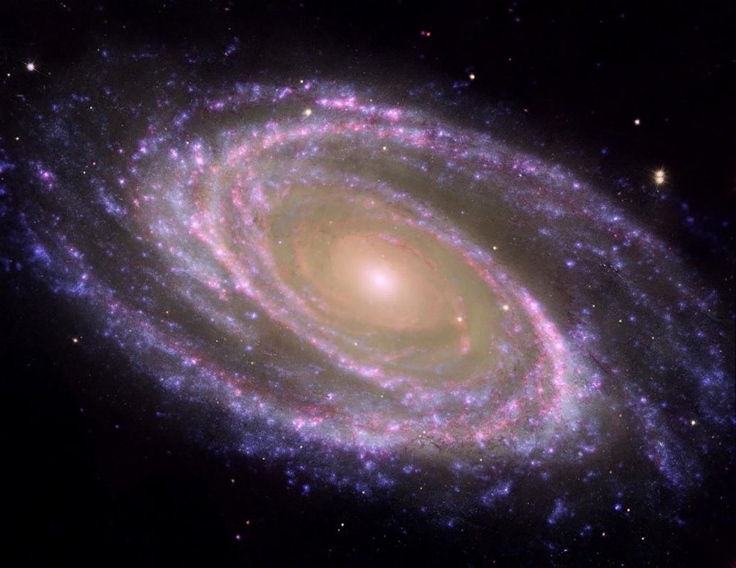 Przykład pobliskiej galaktyki spiralnej, M81, gdzie zgrubienie i dysk są łatwo identyfikowane.