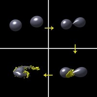 Różne stadia ewolucji mergera dwóch gwiazd neutronowych (wynik symulacji numerycznej). Gdy jedna z gwiazd zapada się, materia jest "wyciskana" spomiędzy gwiazd, i zostaje wyrzucona z układu. Zachodzi w niej jednocześnie wiele reakcji nuklearnych, na skutek czego powstają ciężkie pierwiastki. Źródło: S. Goriely, A. Bauswein, and H.-T. Janka (MPA) 