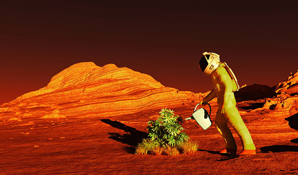 Uprawy na Marsie? SergeyDV via Shutterstock