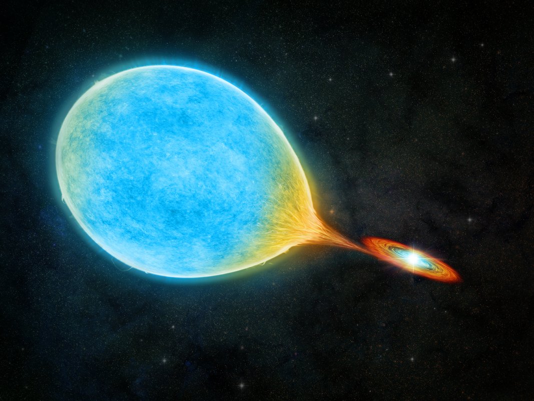 Na ilustracji wizja artystyczna nowego typu gwiazd podwójnych, w którym większy, niebieskawy towarzysz jest na przejściowym etapie przed-ekstremalnie małomasywnego białego karła. Niebieska gwiazda traci materię, której większość poprzez dysk jest akreowana na „normalnego” białego karła. Większa gwiazda stopniowo staje się ekstremalnie małomasywnym białym karłem. Źródło: M.Weiss/Center for Astrophysics | Harvard & Smithsonian
