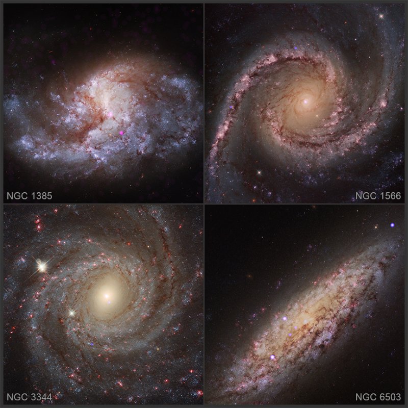 Galaktyki NGC 1385, NGC 1566, NGC 3344 i NGC 6503, w których widać powstające czarne dziury.