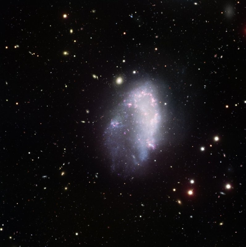 Galaktyka karłowata NGC 1427A.
