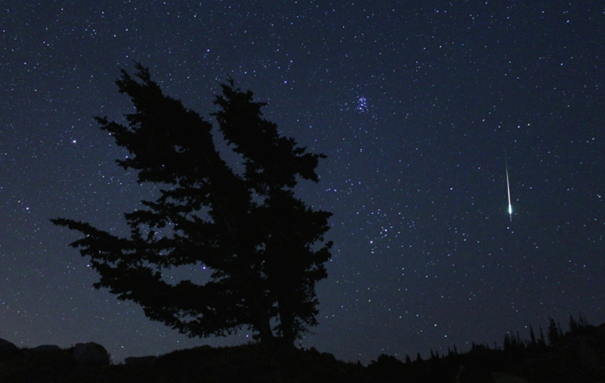 Jasny meteor z roju Leonidów na tle Plejad i gwiazdozbioru Byka. Źródło: Sky & Telescope.