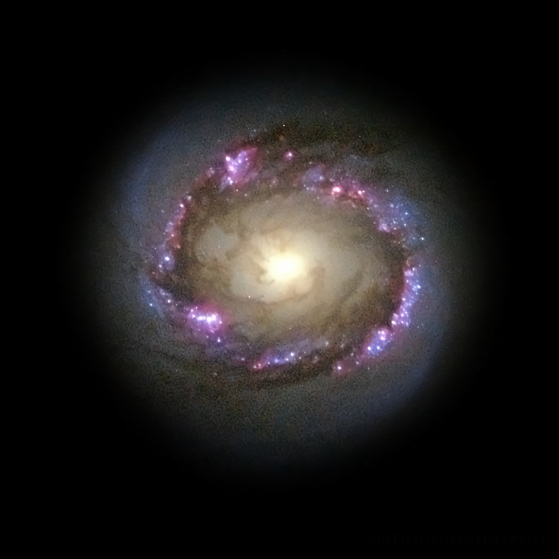 Zdjęcie spiralnej galaktyka z poprzeczką NGC 4314 odległej o ~40 milionów l.św. w gwiazdozbiorze Coma Berenices, które zostało wykonane przez Kosmiczny Teleskop Hubble’a. Jest widoczny pierścień z powstającymi gwiazdami o promieniu 9", w którym odkryto 76 otwartych gromad gwiazdowych. Te gromady nie są starsze niż 15 milionów lat i najprawdopodobniej, przynajmniej częściowo, są w rezonansie Lindblada z ramionami spiralnymi (ten sam rezonans ma również wpływ na pierścienie Saturna). Źródło: Wikipedia
