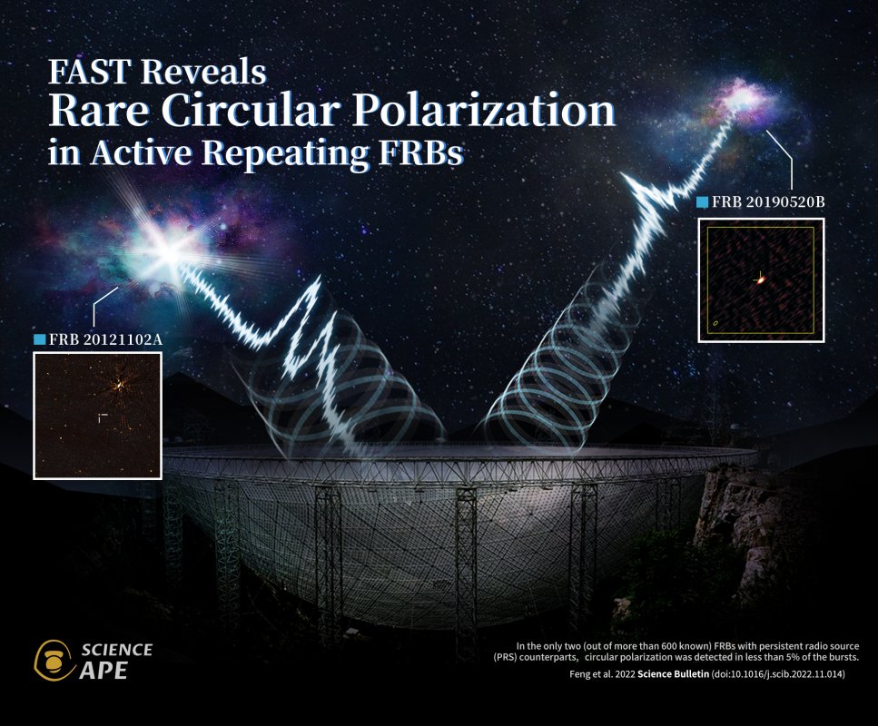 Wizja artystyczna przedstawiająca FAST wykrywający polaryzację kołową z dwóch aktywnych FRB z trwałego źródła radiowego.