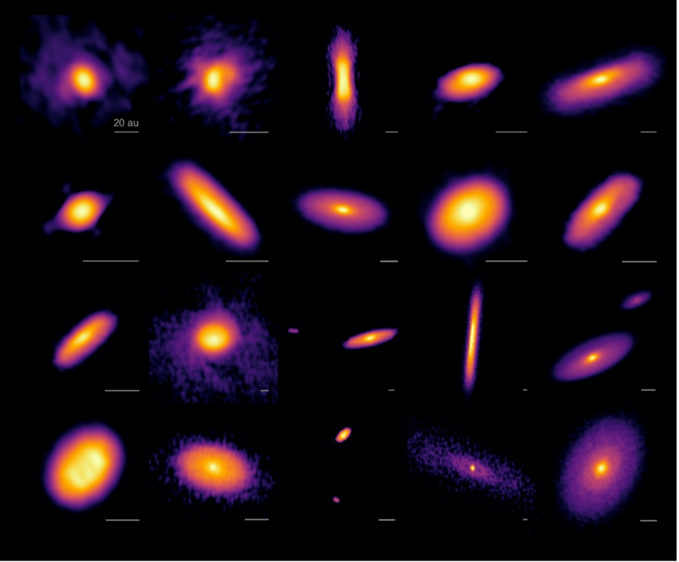Zdjęcia dysków wokół 19 protogwiazd, w tym 4 układów podwójnych zaobserwowanych za pomocą ALMA