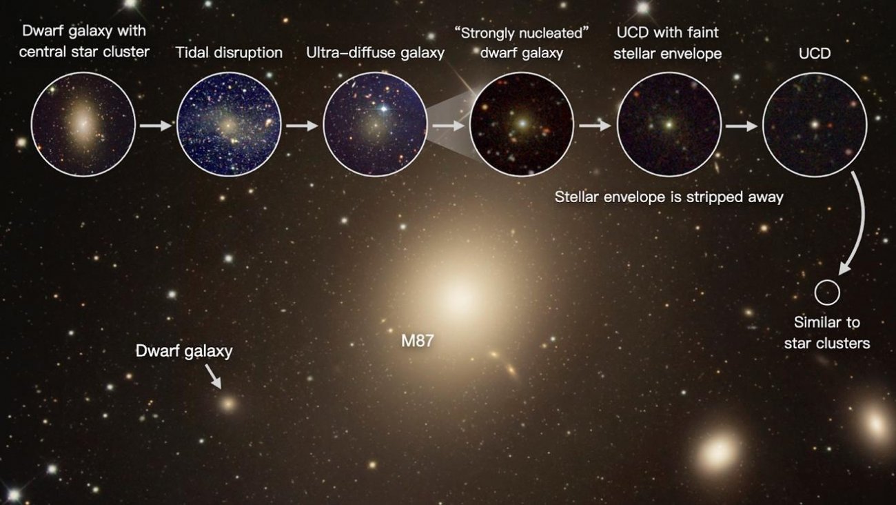 Kontinuum galaktyk uchwyconych na różnych etapach procesu transformacji z galaktyki karłowatej w ultrazwartą galaktykę karłowatą (UCD).