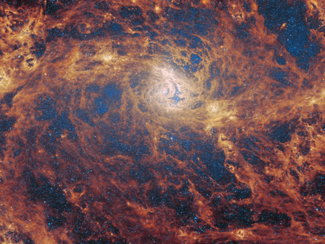 Na ilustracji: Zdjęcie galaktyki spiralnej z poprzeczką M83 (Galaktyka Południowy Wiatraczek) w średniej podczerwieni (~5μm-28μm) wykonane przez kamerę MIRI współpracującą z Teleskopem Webba. Widać dwa spiralne ramiona rozchodzące się poziomo od jądra galaktyki znajdującego się w centrum zdjęcia.Kolory są dobrane arbitralnie na zdjęciu, ponieważ ludzkie oko nie widzi w podczerwieni. Źródło: ESA/Webb, NASA & CSA, A. Adamo (Stockholm University) and the FEAST JWST team