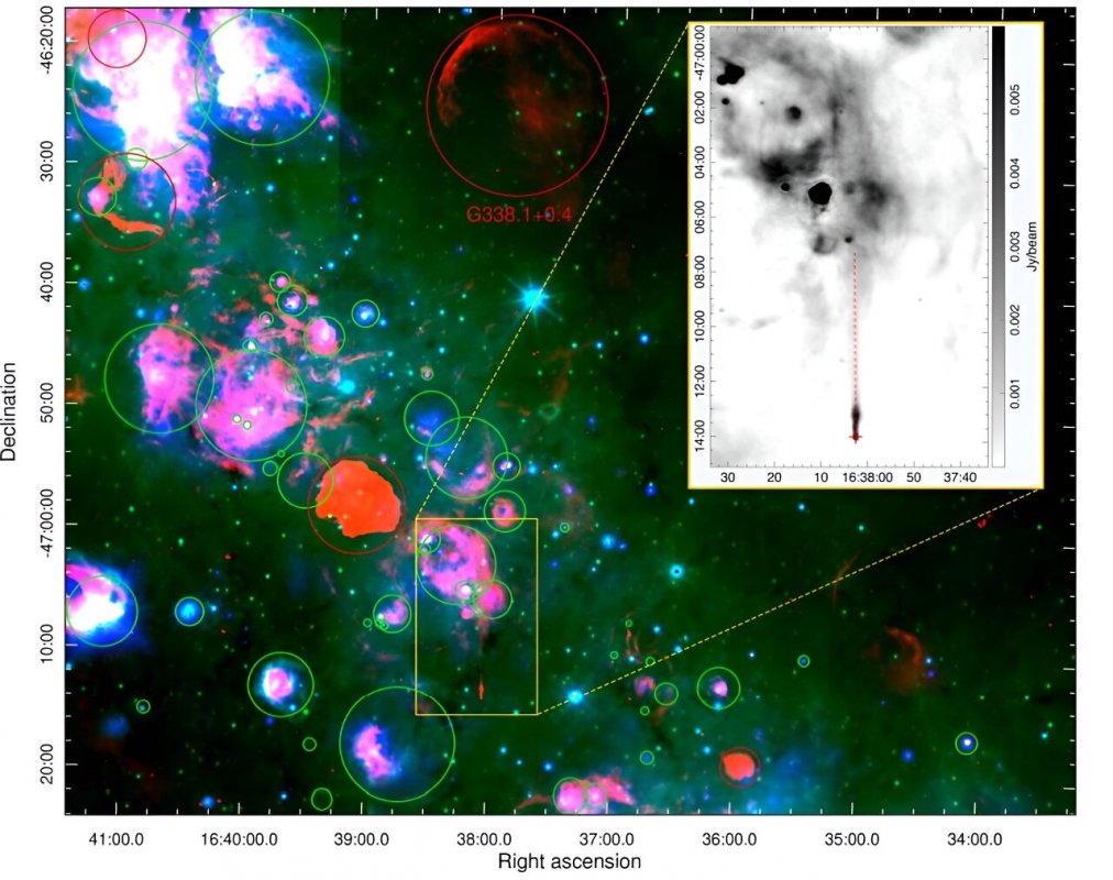 Na zdjęciu: Złożony obraz obszaru płaszczyzny Galaktyki i Potoroo, z czerwoną warstwą przedstawiającą obraz radiowy ASKAP na częstotliwości 1368 MHz oraz zieloną i niebieską warstwą przedstawiającymi dane WISE w podczerwieni odpowiednio na 12 µm i 22 µm. Znane galaktyczne SNR zaznaczono czerwonymi okręgami (Green, 2019, 2022), a znane galaktyczne regiony HII zielonymi okręgami (Anderson i in., 2014). Ramka wyróżnia interesującą nas sekcję. Wstawka to powiększony obraz ASKAP przedstawiający Potoroo, na który