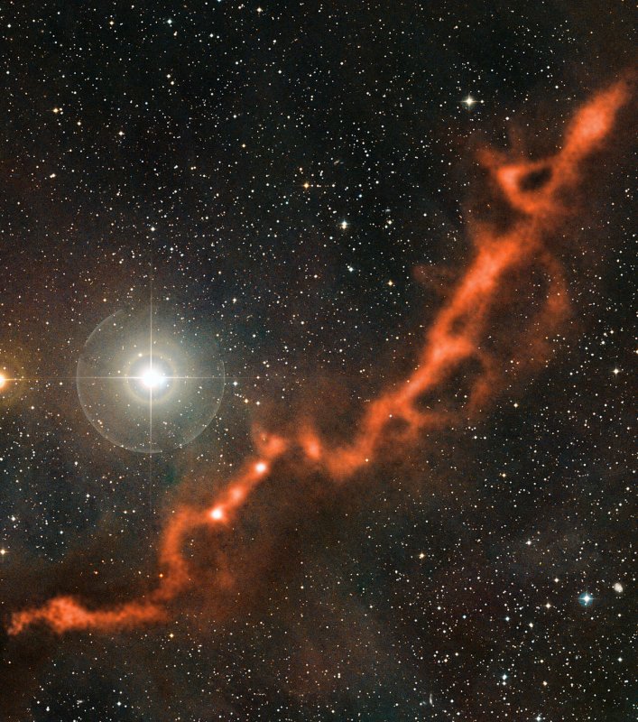 Zarejestrowany przez teleskop APEX obraz części Obłoku Molekularnego Taurus przedstawia faliste włókno kosmicznego pyłu o długości ponad dziesięciu lat świetlnych. Czy w obłokach molekularnych takich jak ten może być życie? Źródło: ESO/APEX (MPIfR/ESO/OSO)/A. Hacar et al./Digitized Sky Survey 2.