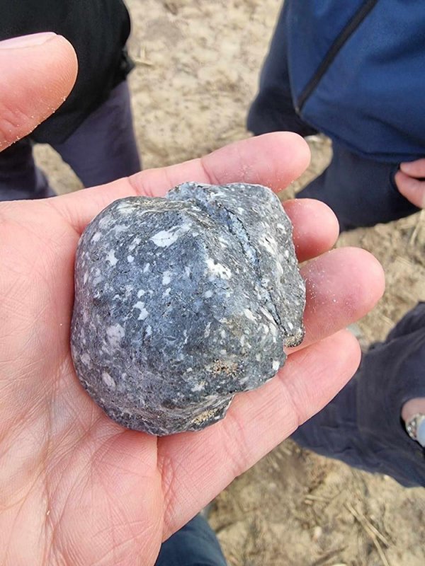 Fragment meteorytu z planetoidy 2024 BX1 znaleziony przez polską ekipę, fot. Filip Nikodem