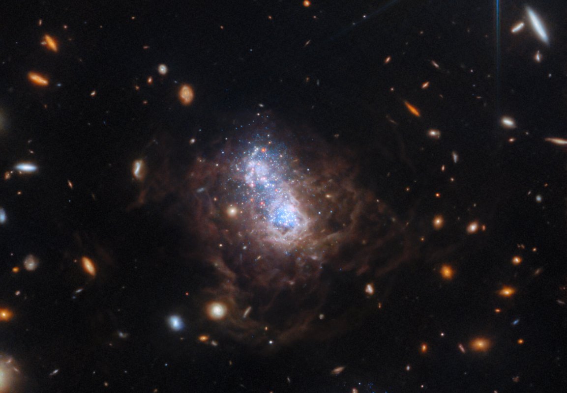 W polu widzenia widać wiele małych galaktyk. Najczęściej są to owalne galaktyki spiralne w kolorze białym i czerwonym. Centrum zdjęcia wypełnia nieregularna galaktyka karłowata I Zwicky 18 (I Zw 18) z jasnym obszarem wypełnionym gwiazdami w kolorze białym i niebieskim. Jądro galaktyki rozdziela się na dwa płaty. Obszar centralny I Zw 18 jest otoczony przez włókna pyłowe w kolorze brązowym. ESA/Webb, NASA, CSA, A. Hirschauer, M. Meixner et al