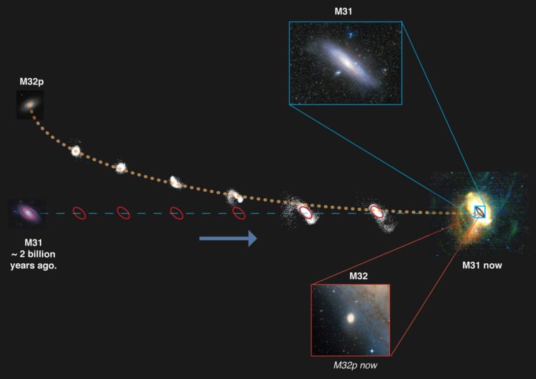 Zdjęcie gwiazdowego halo M31