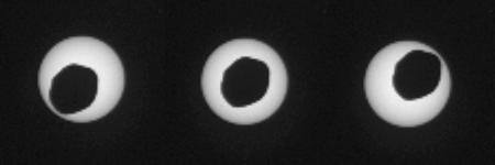 Zaćmienie Słońca przez Fobosa (zdjęcia z Curiosity)