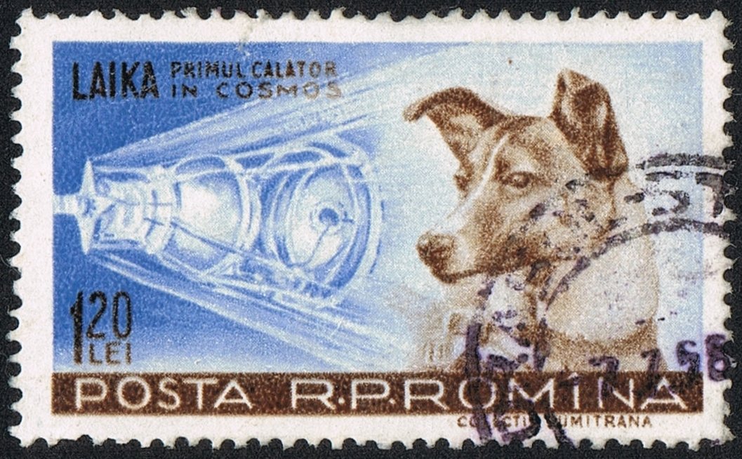 Rumuński znaczek pocztowy z Łajką, psem, który poleciał w kosmos, aut. Neozoon (2009), Wikipedia/dp