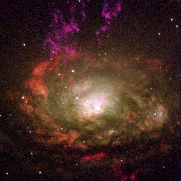 Zdjęcie uzyskane z teleskopu Hubble'a przedstawia galaktykę Circinus wraz z jej aktywnym jądrem galaktycznym (AGN). Astronomowie mierzyli rozmiar regionów akrecyjnych wokół supermasywnych czarnych dziur w czterech odległych AGN za pomocą techniki mapowania pogłosu. Źródło: NASA, Andrew S. Wilson U.Maryland; Patrick L. Shopbell CIT; Chris Simpson Subaru; Thaisa Storchi-Bergmann i F. K. B. Barbosa, UFRGS, Brazylia; oraz Martin J. Ward, U. Leicester