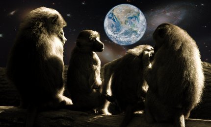 Małpy patrzące na Ziemię z kosmosu