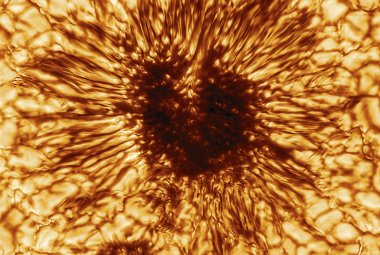 Pierwsze oficjalne zdjęcie plamy słonecznej z 28 stycznia 2020 r. wykonane największym na świecie i najnowocześniejszym teleskopem słonecznym DKIST (Daniel K. Inouye Solar Telescope) właśnie uruchamianym na Hawajach. Robi wrażenie szczegółowość plamy słonecznej na powierzchni Słońca. Plama słoneczna jest miejscem zbiegania się silnych pól magnetycznych i gorącego gazu wypływającego z jej wnętrza. Źródło: NSO/AURA/NSF
