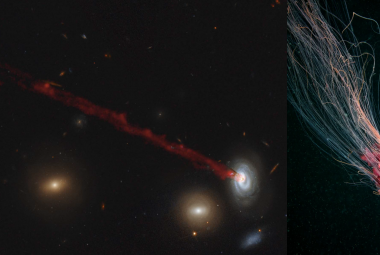 Złożony obraz galaktyki D100, pokazujący pozbawiony gazu ogon za dyskiem galaktycznym.