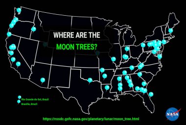 Mapa występowania Księżycowych Drzew. Źródło: NASA