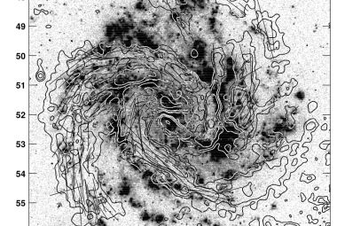 Obraz M83 w filtrze Halfa, z konturami spolaryzowanej emisji radiowej oraz wektorami pola magnetycznego. Źródło: publikacja zespołu. 