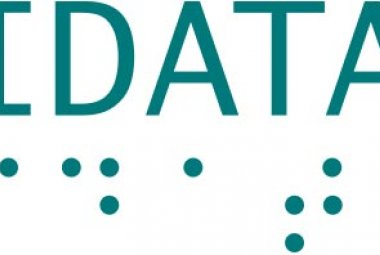 logo projektu IDATA