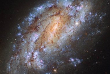 Galaktyka spiralna NGC 1559 jest przykładem lokalnej galaktyki gwiazdotwórczej.