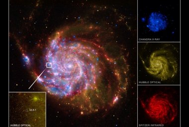 Po raz pierwszy bezpośrednio zmierzono masę tajemniczego źródła promieniowania X w galaktyce M101 – jednej z najbliższych nam galaktyk spiralnych. Okazało się, że obiekt ten jest złożony z niezwykle jasnej czarnej dziury o masie gwiazdowej i okrążającej go, zwykłej gwiazdy. Źródło: Chandra/Spitzer/Hubble/GALEX