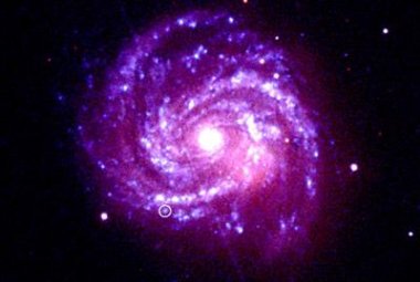 Zdjęcie w zakresach optycznym i ultrafioletowym przedstawia w całej okazałości galaktykę M100, znajdującą się w odległości około 56 milionów lat świetlnych w gromadzie galaktyk Virgo. Galaktyka ma rozmiary około 100 tysięcy lat świetlnych, podobnie jak nasza Galaktyka. Supernowa SN 1979C oznaczona jest białym kółkiem. Zdjęcie wykonano przy pomocy Optycznego Monitora na pokładzie stacji XMM-Newton. Obraz uzyskano przy pomocy filtrów B, U oraz UVW1. Smuga w poprzek zdjęcia spowodowana jest przez kamerę. Fot. 